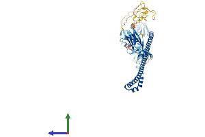 AlphaFold protein structure predicition of Mouse Recombinant Trim45 Protein, UniprotID Q6PFY8 (TRIM45 Protein (AA 1-580) (His tag))