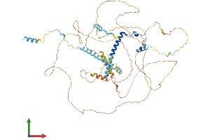 AlphaFold protein structure predicition of Human Recombinant SPTY2D1 Protein, UniprotID Q68D10 (Suppressor of Ty, Domain Containing 1 (SPTY2D1) (AA 1-685) protein (His tag))