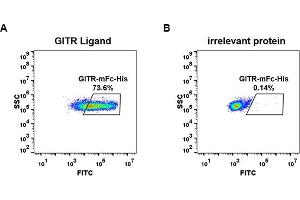 Flow Cytometry (FACS) image for Tumor Necrosis Factor Receptor Superfamily, Member 18 (TNFRSF18) (AA 26-162) protein (mFc-His Tag) (ABIN6961092)