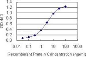 Detection limit for recombinant GST tagged PLA2G10 is 0. (PLA2G10 antibody  (AA 64-165))