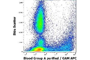 Flow cytometry surface staining pattern of human peripheral whole blood stained using anti-human Blood Group A (HE-195) purified antibody (concentration in sample 3,3 μg/mL, GAM APC). (ABO, Blood Group A Antigen antibody)