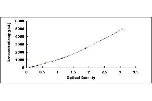 Typical standard curve (ATF4 ELISA Kit)