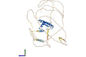Protein Structure (PS) image for Myocyte Enhancer Factor 2A (MEF2A) (AA 1-507) protein (His tag) (ABIN7554509)
