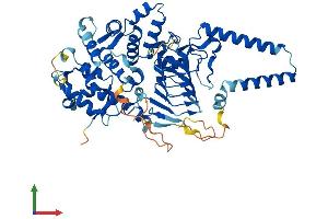 Protein Structure (PS) image for TBCC Domain Containing 1 (TBCCD1) (AA 1-557) protein (His tag) (ABIN7544169)