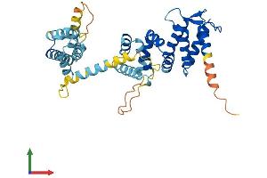 AlphaFold protein structure predicition of Human Recombinant FANCF Protein, UniprotID Q9NPI8 (FANCF Protein (AA 1-374) (His tag))