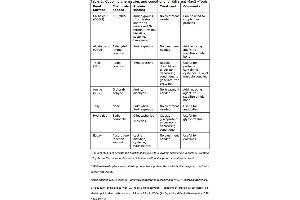 Image no. 1 for MagSi-S SH 3.0 beads (ABIN1721123)