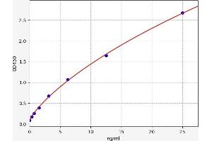 Typical standard curve (ICAM2 ELISA Kit)