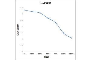 Antigen: 0. (ERN1 antibody  (pSer726))