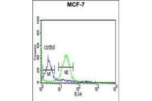 GPHN Antibody (Center) (ABIN653742 and ABIN2843044) flow cytometric analysis of MCF-7 cells (right histogram) compared to a negative control cell (left histogram). (Gephyrin antibody  (AA 437-466))