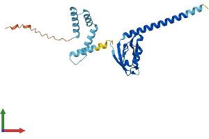 AlphaFold protein structure predicition of Human Recombinant LIN7A Protein, UniprotID O14910
