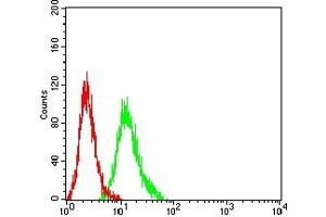 Flow cytometric analysis of HL-60 cells using CD364 mouse mAb (green) and negative control (red). (PI16 antibody  (AA 79-210))