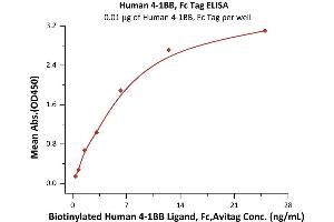 Immobilized Human 4-1BB, Fc Tag (ABIN2180548,ABIN2180547) at 0. (CD137 Protein (AA 24-186) (Fc Tag))