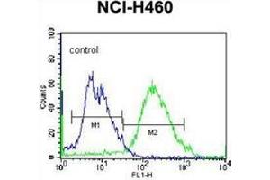 Flow cytometric analysis of NCI-H460 cells using Glutathione reductase Antibody (C-term) Cat.
