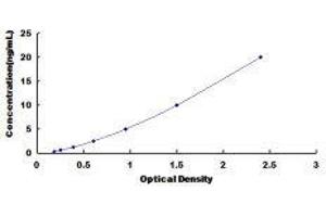 Dopamine Receptor D1 (DRD1) ELISA Kit