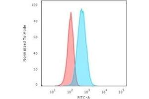 Flow Cytometric Analysis of T98G cells using GFAP Mouse Monoclonal Antibody (GA-5) followed by Goat anti-Mouse IgG-CF488 (Blue); Isotype Control (Red). (GFAP antibody)