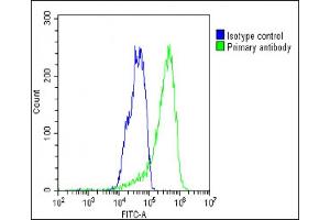 Overlay histogram showing HepG2 cells stained with (ABIN391880 and ABIN2841699)(green line). (CSF1R antibody  (C-Term))