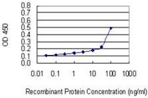 Detection limit for recombinant GST tagged MRPL4 is 3 ng/ml as a capture antibody. (MRPL4 antibody  (AA 1-263))