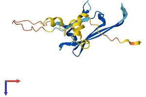 HSPB3 Protein (AA 1-150) (His tag)