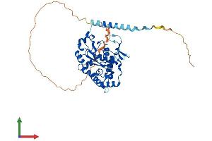 AlphaFold protein structure predicition of Mouse Recombinant Hs3st3b1 Protein, UniprotID Q9QZS6 (HS3ST3B1 Protein (AA 1-390) (His tag))
