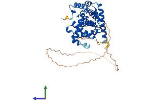 AlphaFold protein structure predicition of Mouse Recombinant Ccnj Protein, UniprotID Q3TZI6