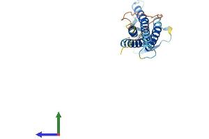 AlphaFold protein structure predicition of Mouse Recombinant Cldn6 Protein, UniprotID Q9Z262 (Claudin 6 Protein (CLDN6) (AA 1-219) (His tag))