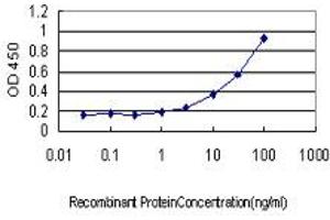 Detection limit for recombinant GST tagged PHKG1 is approximately 1ng/ml as a capture antibody. (PHKG1 antibody  (AA 1-387))