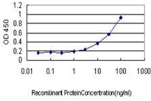 Detection limit for recombinant GST tagged PHKG1 is approximately 1ng/ml as a capture antibody.