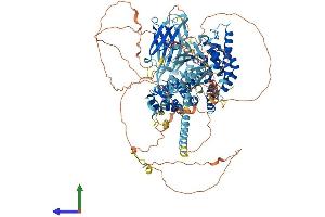 AlphaFold protein structure predicition of Mouse Recombinant Rasal3 Protein, UniprotID Q8C2K5