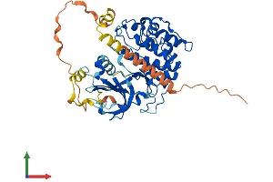 AlphaFold protein structure predicition of Mouse Recombinant Sgk1 Protein, UniprotID Q9WVC6 (SGK1 Protein (AA 1-431) (His tag))