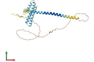 AlphaFold protein structure predicition of Human Recombinant REEP3 Protein, UniprotID Q6NUK4