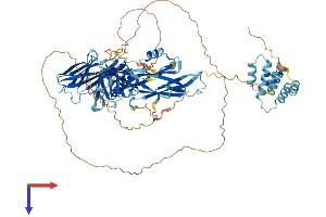 AlphaFold protein structure predicition of Human Recombinant DTHD1 Protein, UniprotID Q6ZMT9 (DTHD1 Protein (AA 1-781) (His tag))