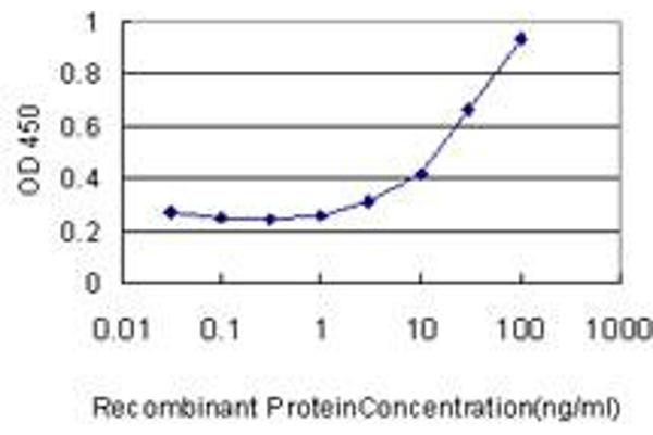 AP1S2 antibody  (AA 1-157)