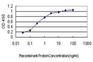 Detection limit for recombinant GST tagged SPSB2 is approximately 0. (SPSB2 antibody  (AA 1-90))