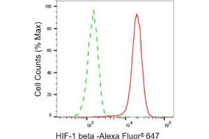 Flow cytometric analysis of HIF-1 beta expression in HepG2 cells using HIF-1 beta antibody (ABIN7797657), 1:2,000).