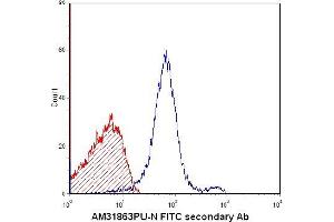 Flow Cytometry (FACS) image for anti-TCR DO-11.10 antibody (ABIN951964) (TCR DO-11.10 antibody)
