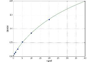 A typical standard curve