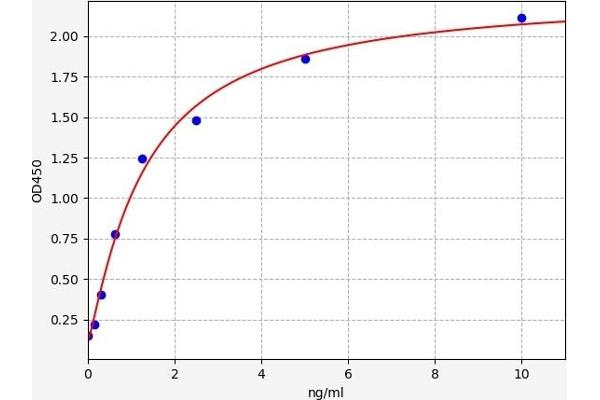 NFIL3 ELISA Kit