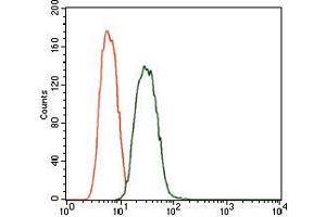 Flow cytometric analysis of A549 cells using PDE1B mouse mAb (green) and negative control (red). (PDE1B antibody  (AA 370-536))