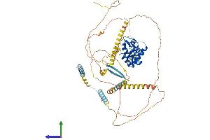 AlphaFold protein structure predicition of Mouse Recombinant Arid3a Protein, UniprotID Q62431