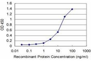 Detection limit for recombinant GST tagged FBXL8 is approximately 0. (FBXL8 antibody  (AA 1-374))