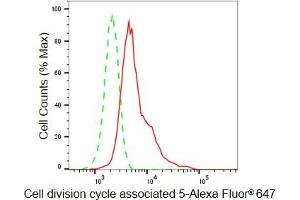 Flow cytometric analysis of Cell division cycle associated 5 expression in HeLa cells using Cell division cycle associated 5 antibody (ABIN7798019), 1:2,000). (Recombinant CDCA5 antibody)