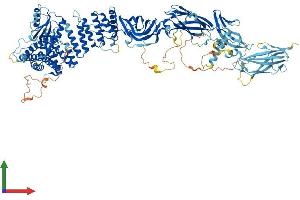 AlphaFold protein structure predicition of Human Recombinant TRAPPC9 Protein, UniprotID Q96Q05 (TRAPPC9 Protein (AA 1-1148) (His tag))