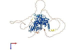 AlphaFold protein structure predicition of Mouse Recombinant Cdc14a Protein, UniprotID Q6GQT0 (CDC14A Protein (AA 1-603) (His tag))