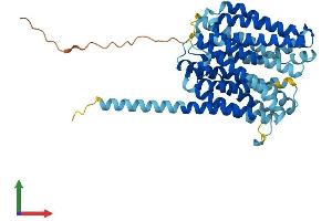 AlphaFold protein structure predicition of Human Recombinant SLC18B1 Protein, UniprotID Q6NT16 (C6orf192 Protein (AA 1-456) (His tag))