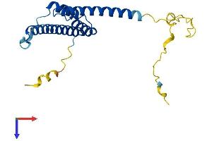 Protein Structure (PS) image for Retinal Degeneration 3 (RD3) (AA 1-195) protein (His tag) (ABIN7551258)