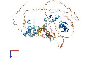 AlphaFold protein structure predicition of Human Recombinant ZSCAN5A Protein, UniprotID Q9BUG6 (ZSCAN5A Protein (AA 1-496) (His tag))