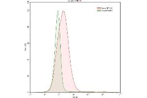 Detection of IL17RD in K562 human chronic myelogenous leukemia cell line using Anti-Interleukin 17 Receptor D (IL17RD) Polyclonal Antibody (IL17RD antibody  (AA 157-299))