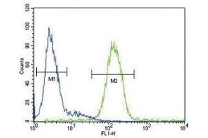 CP antibody flow cytometric analysis of HepG2 cells (green) compared to a negative control (blue). (Ceruloplasmin antibody  (AA 547-577))