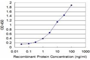 Detection limit for recombinant GST tagged BMP5 is approximately 0. (BMP5 antibody  (AA 323-454))