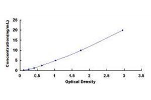 Lectin, Galactoside-Binding, Soluble, 8 (LGALS8) ELISA Kit
